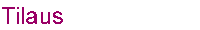 Tilaus